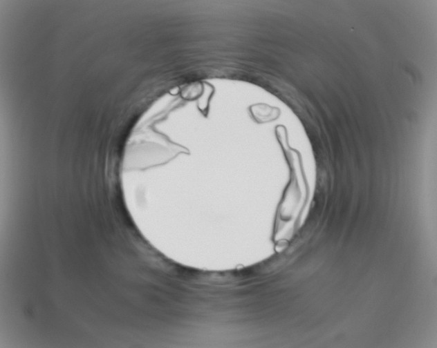 X0000113250525200910221124