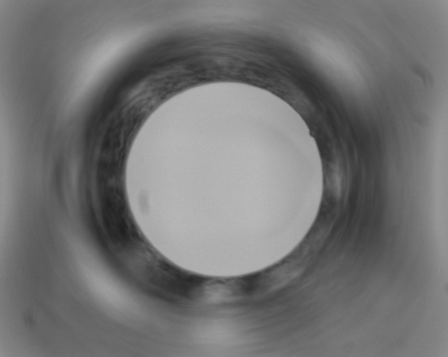 X0000113250526200910221124