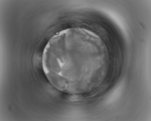 X0000113250527200910221124