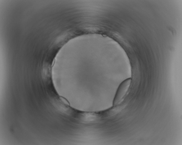 X0000113250528200910221124