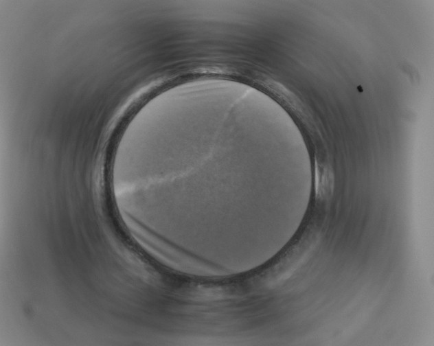 X0000113250531200910221123