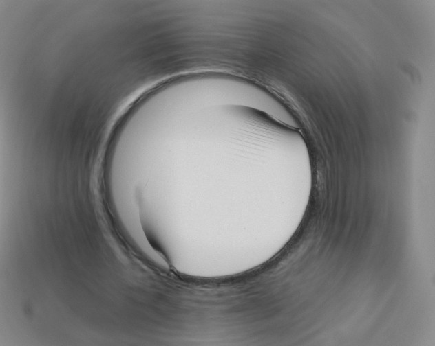 X0000113250532200910221123