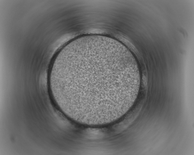 X0000113250534200910221123