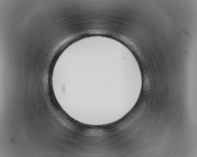 X0000113250535200910221123