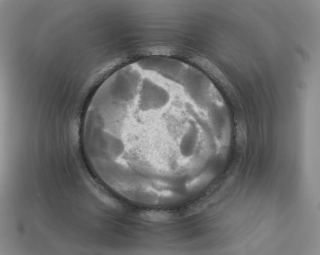 X0000113250537200910221123