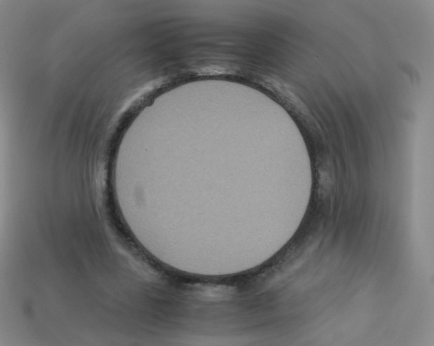 X0000113250539200910221123