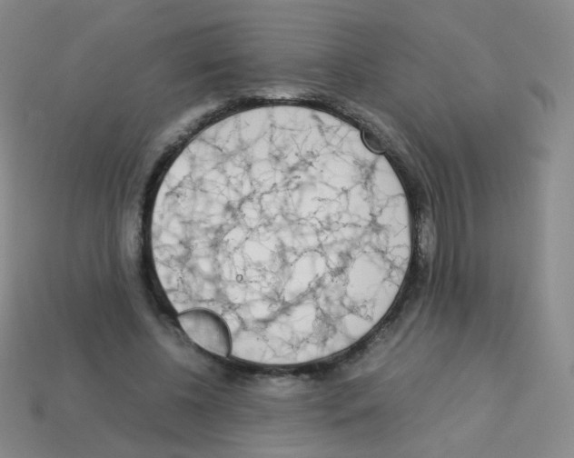 X0000113250540200910221123