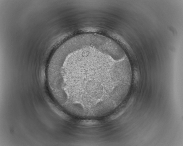 X0000113250541200910221123