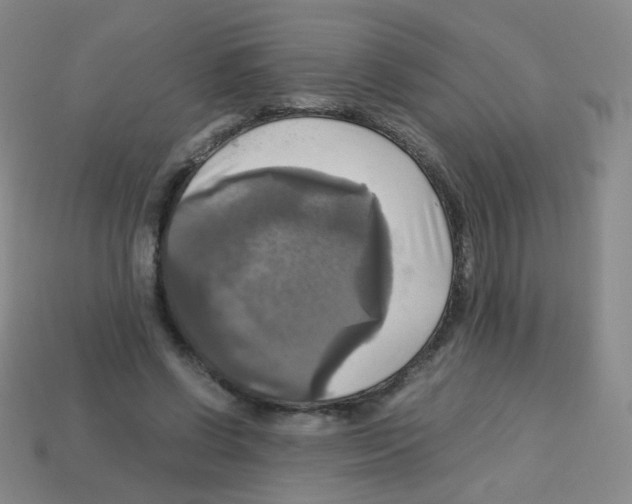 X0000113250542200910221123