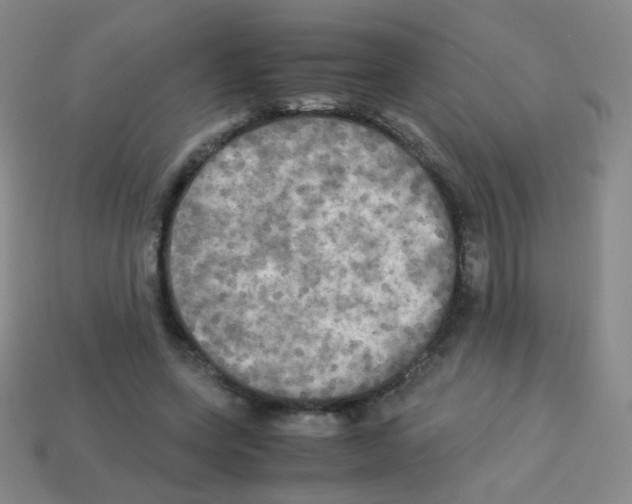 X0000113250543200910221123