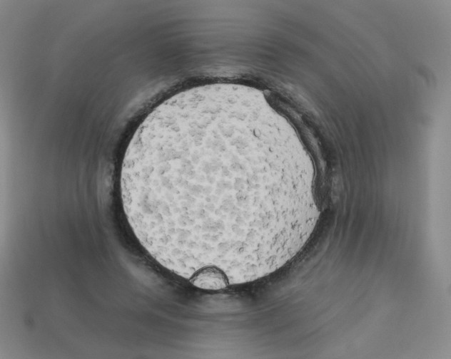 X0000113250544200910221123