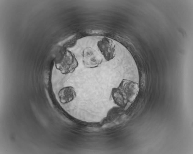 X0000113250545200910221123