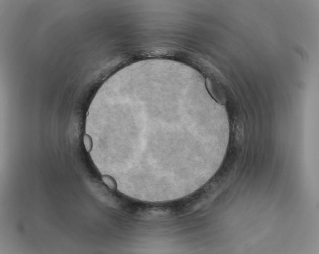 X0000113250546200910221123