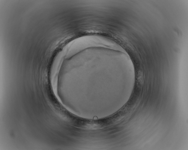 X0000113250547200910221123