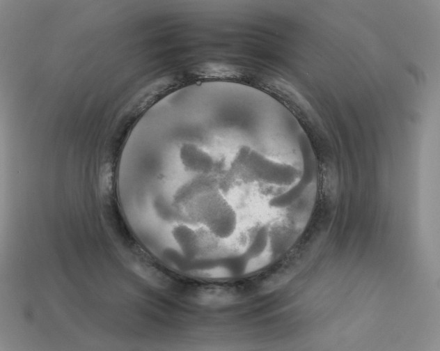 X0000113250549200910221123