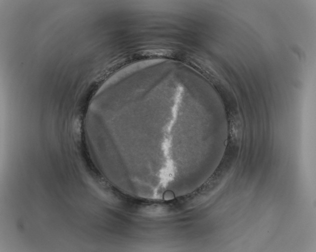 X0000113250551200910221123