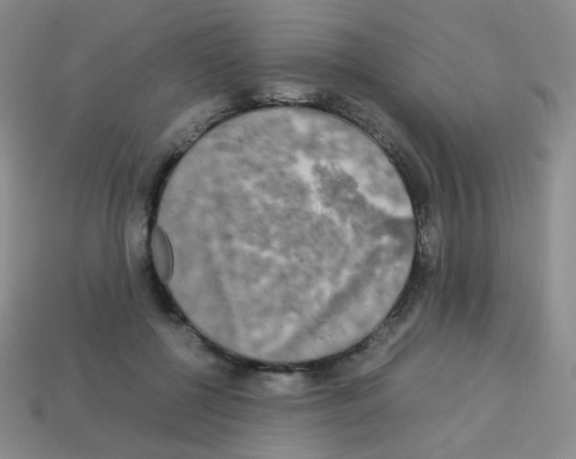 X0000113250552200910221123