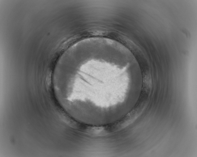 X0000113250554200910221123