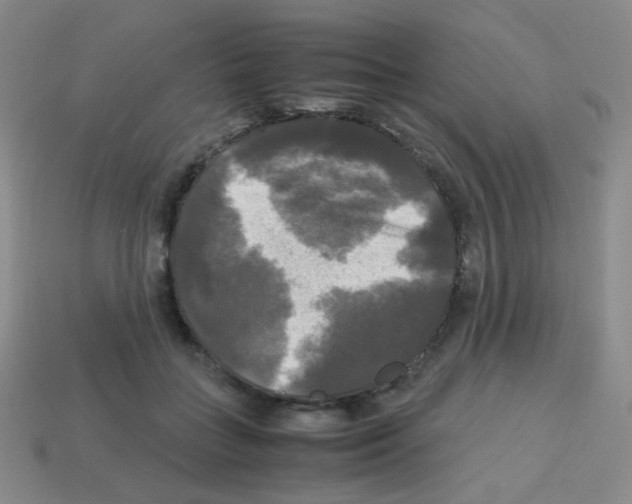 X0000113250555200910221123