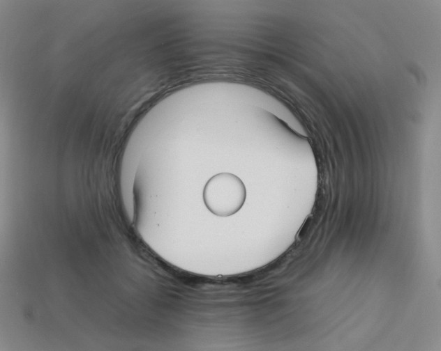 X0000113250556200910221123