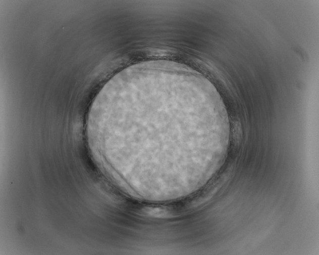 X0000113250557200910221123