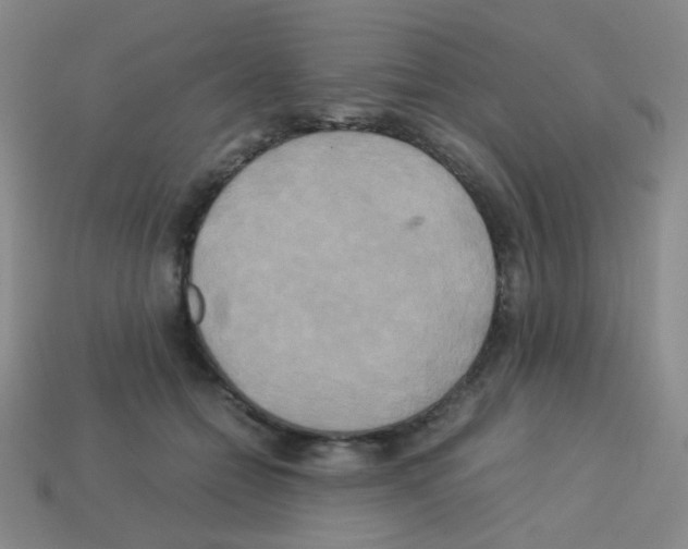 X0000113250558200910221123