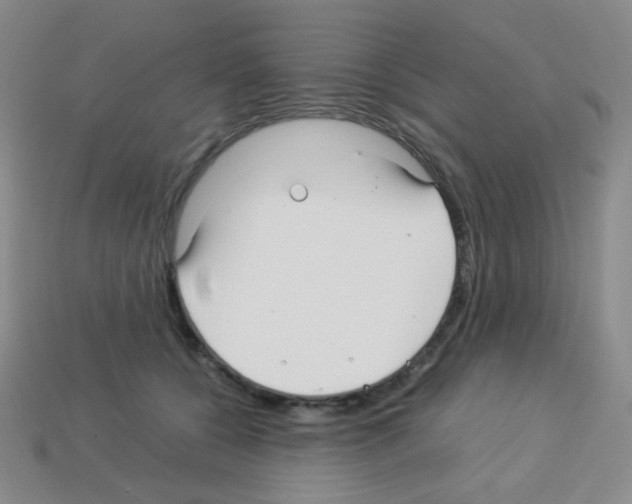 X0000113250560200910221123