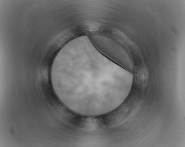 X0000113250562200910221123