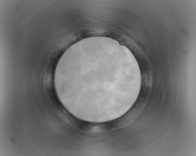 X0000113250564200910221123