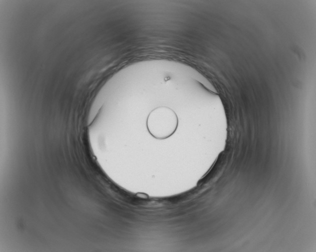 X0000113250566200910221123