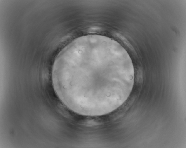 X0000113250569200910221123