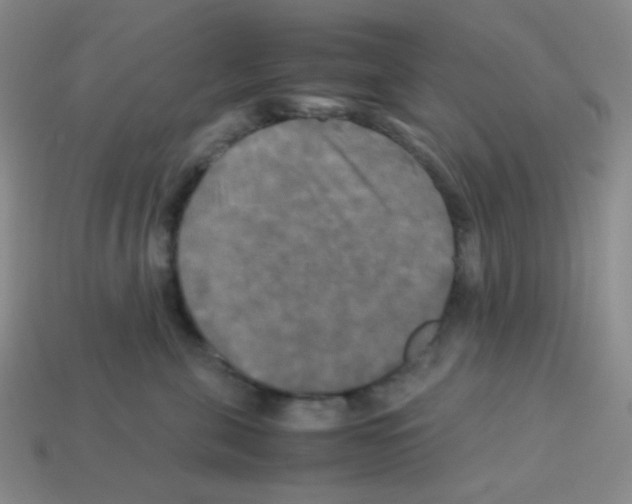 X0000113250571200910221123