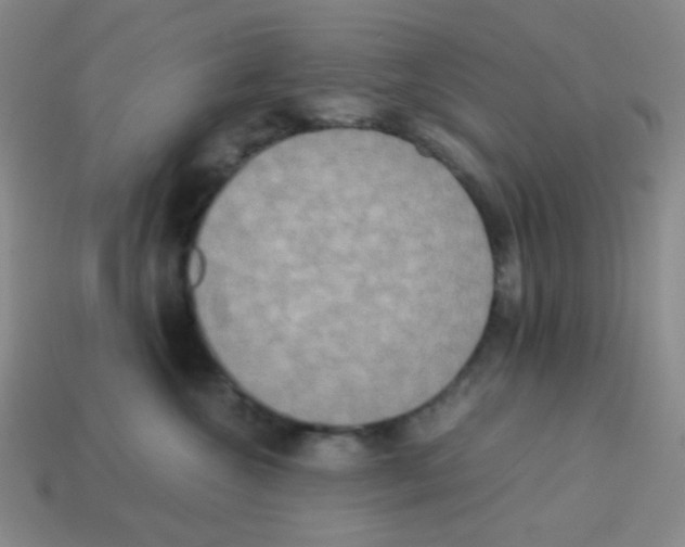 X0000113250572200910221124