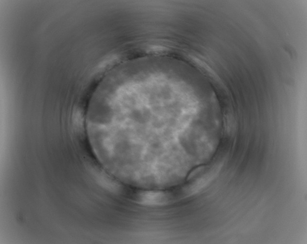 X0000113250575200910221124