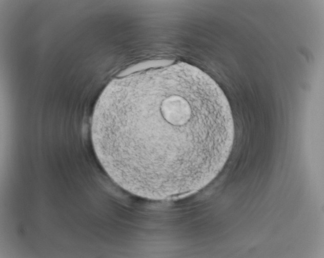 X0000113250576200910221124