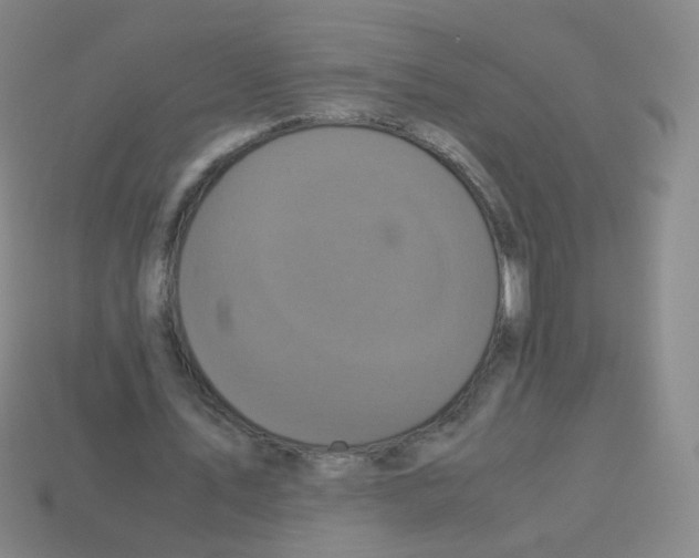 X0000113250579200910221123