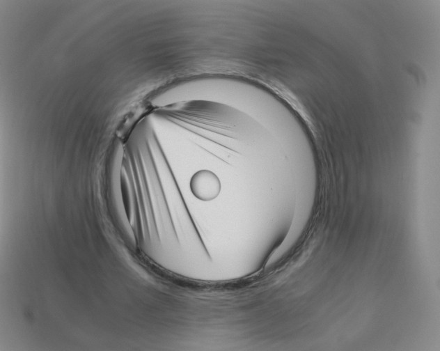 X0000113250581200910221123