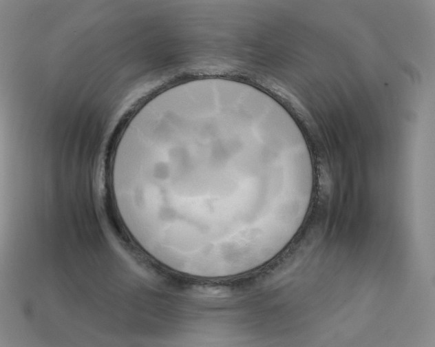 X0000113250582200910221123