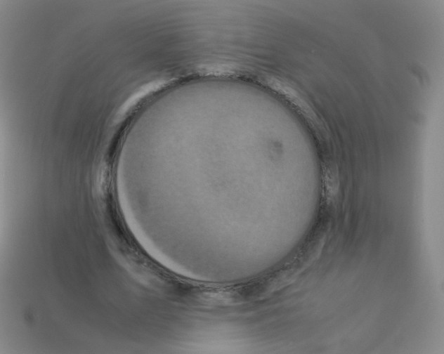 X0000113250583200910221123