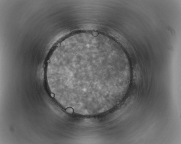 X0000113250584200910221123