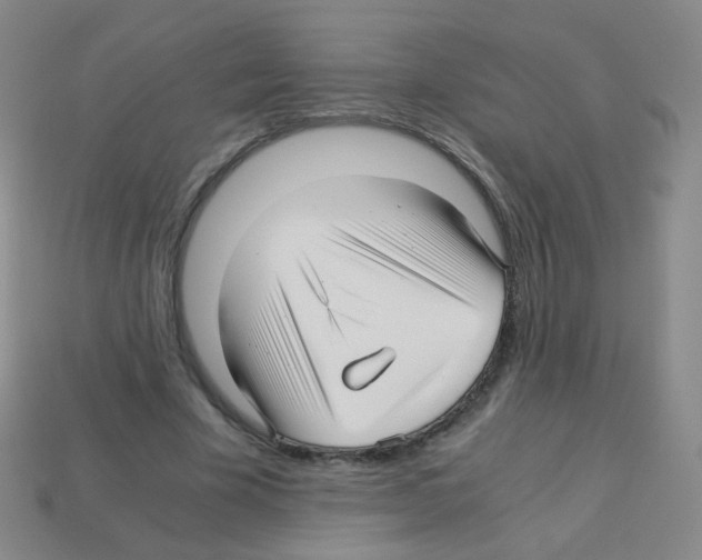 X0000113250585200910221123