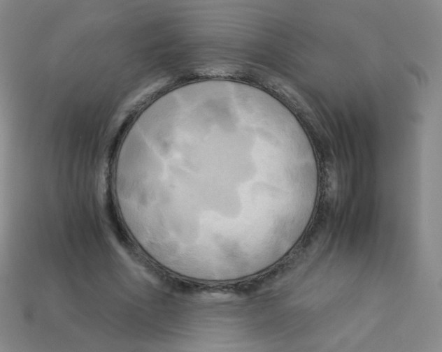 X0000113250586200910221123