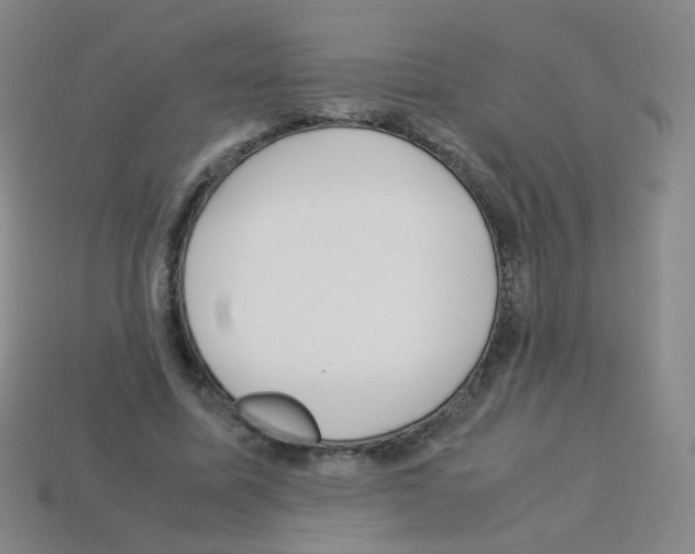 X0000113250587200910221123