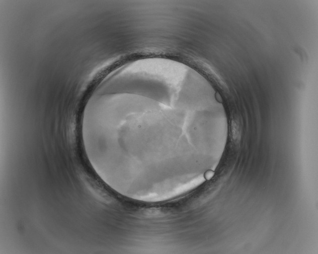 X0000113250588200910221123