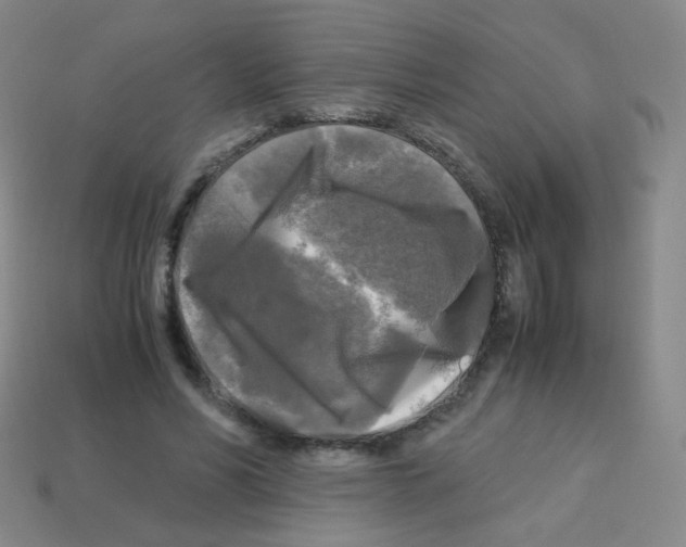 X0000113250590200910221123