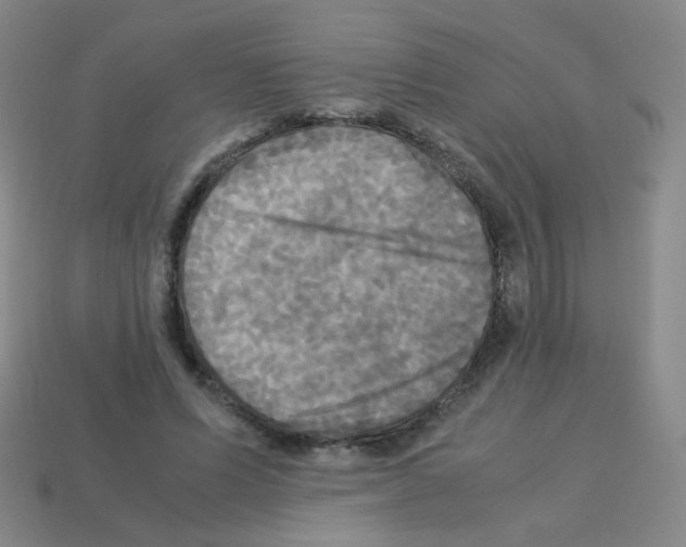 X0000113250591200910221123