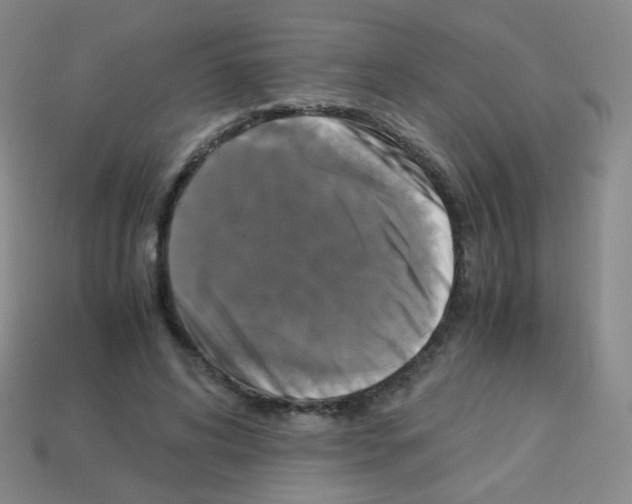 X0000113250592200910221123