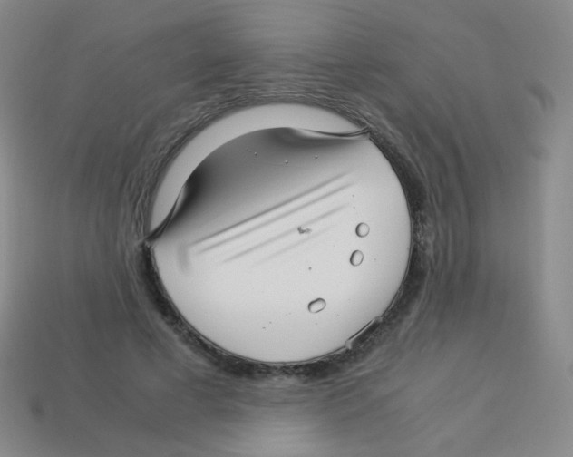 X0000113250593200910221123