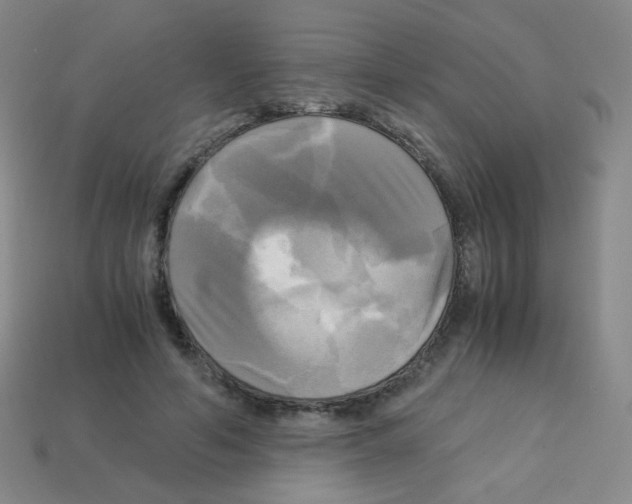 X0000113250594200910221123