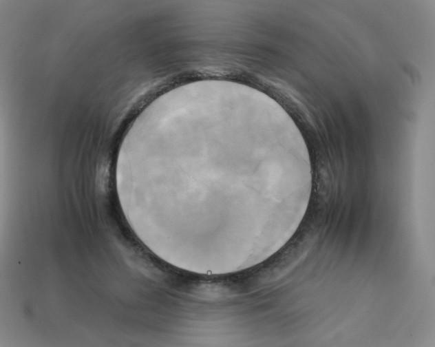 X0000113250596200910221123